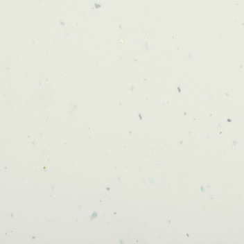 White Star Astro GLOSS 650mm x 25mm x 3.6m TopShape Square Edged W\'top