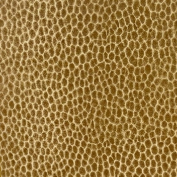 CARVED 2800 x 1220 x 19mm Finsa MDF